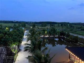 Bán đất tại phú an, tp bến cát, bình dương 3050m2 chỉ 5,4 triệu/ m2. mặt tiền nhựa cực đẹp