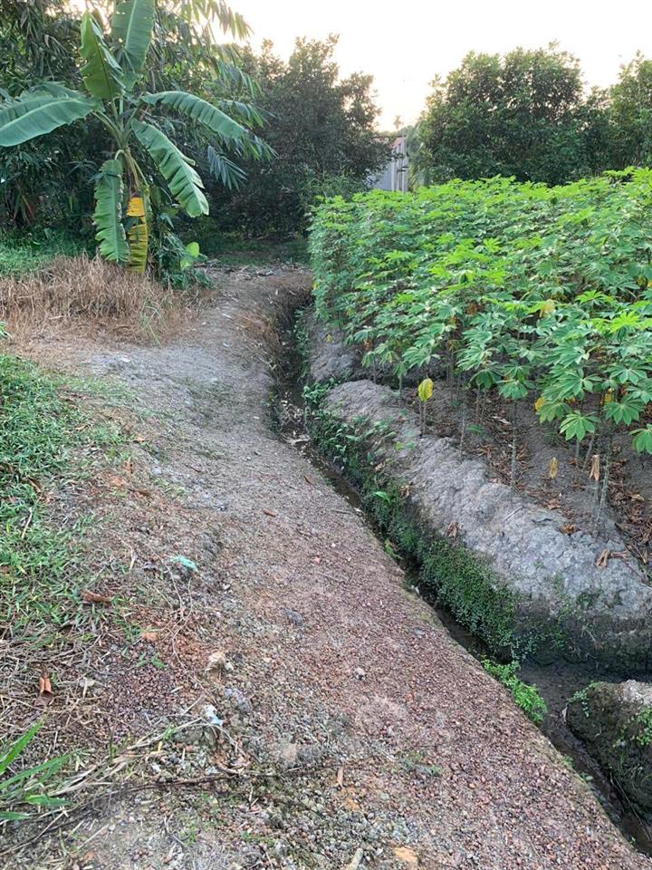 Chính chủ bán lô đất tại tân an thủ dầu một dt 635m2 có 100m2 thổ cư giá rẻ 4 triệu/m2 (có tl)