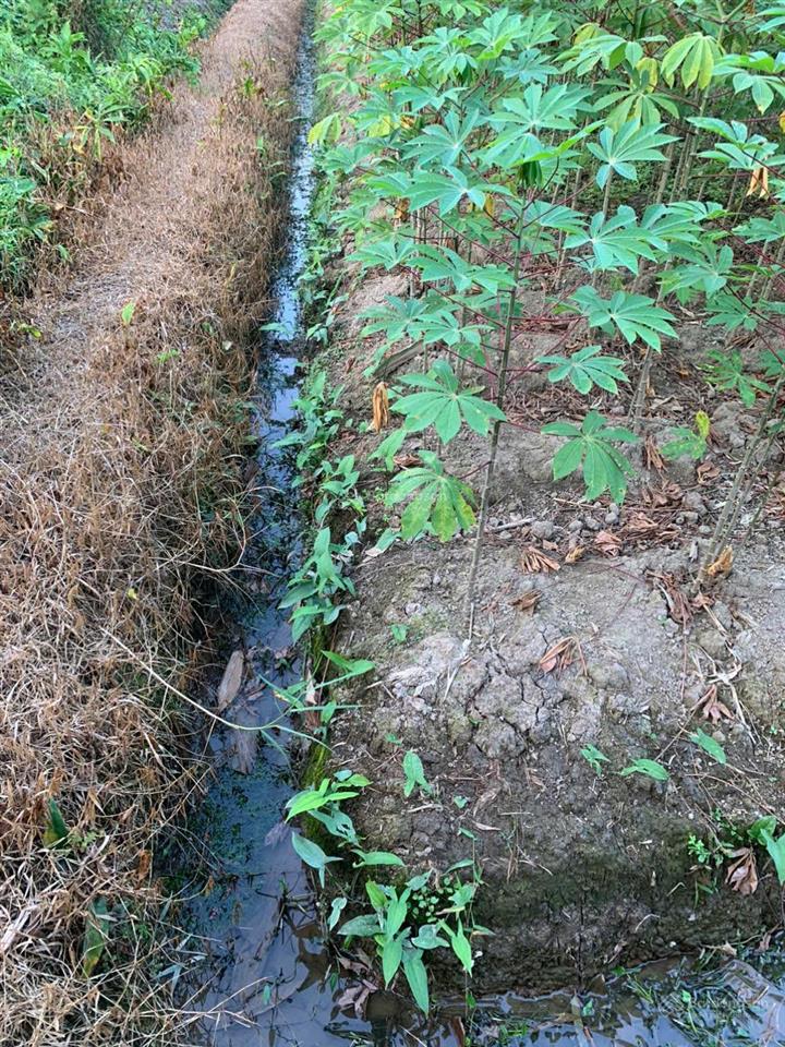 Chính chủ bán lô đất tại tân an thủ dầu một dt 635m2 có 100m2 thổ cư giá rẻ 4 triệu/m2 (có tl)