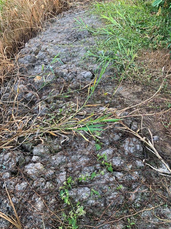 Chính chủ bán lô đất tại tân an thủ dầu một dt 635m2 có 100m2 thổ cư giá rẻ 4 triệu/m2 (có tl)