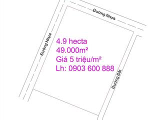 Cần bán gần 5 hecta đất tại đồng nai