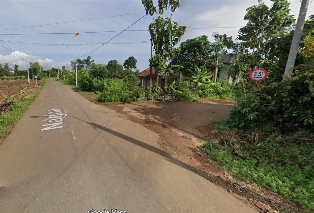 Cần bán 5 hecta đất tại xã xuân bắc tỉnh đồng nai