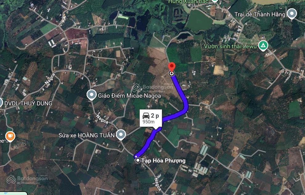 Cần bán 5 hecta đất tại xã xuân bắc tỉnh đồng nai