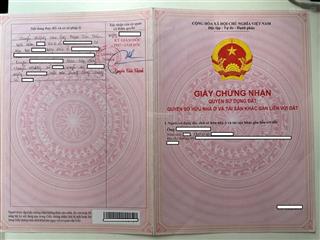 Đất phước dinh vuông vức view biển mũi dinh, cách đường trục 709 100m, 19.2x52.2m có đường