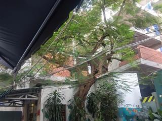 Cần bán nhà ở đường lê lợi , p bến nghé, q1, ngay trung tâm thương mại tp hcm,