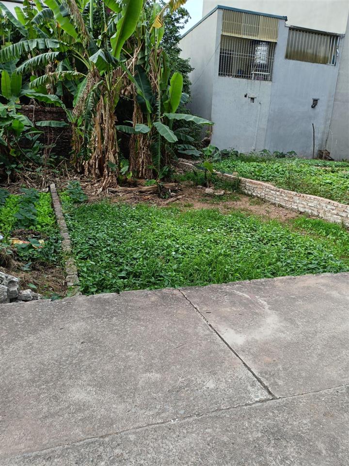 Cần bán gấp lô đất thôn phượng đồng, phụng châu, chương mỹ hà nội