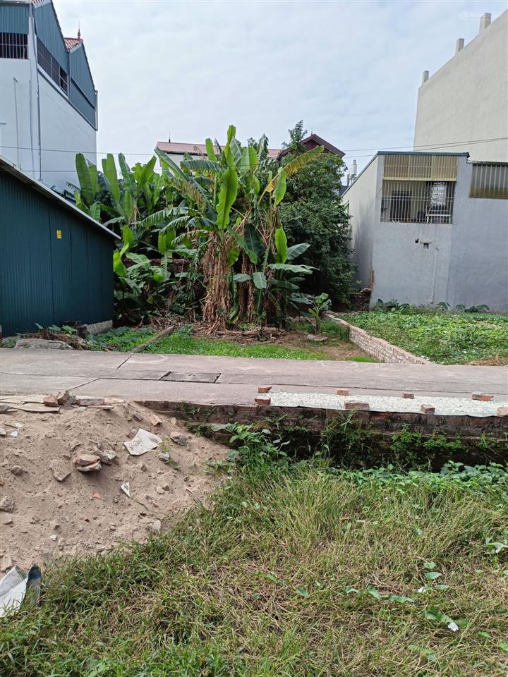 Cần bán gấp lô đất thôn phượng đồng, phụng châu, chương mỹ hà nội