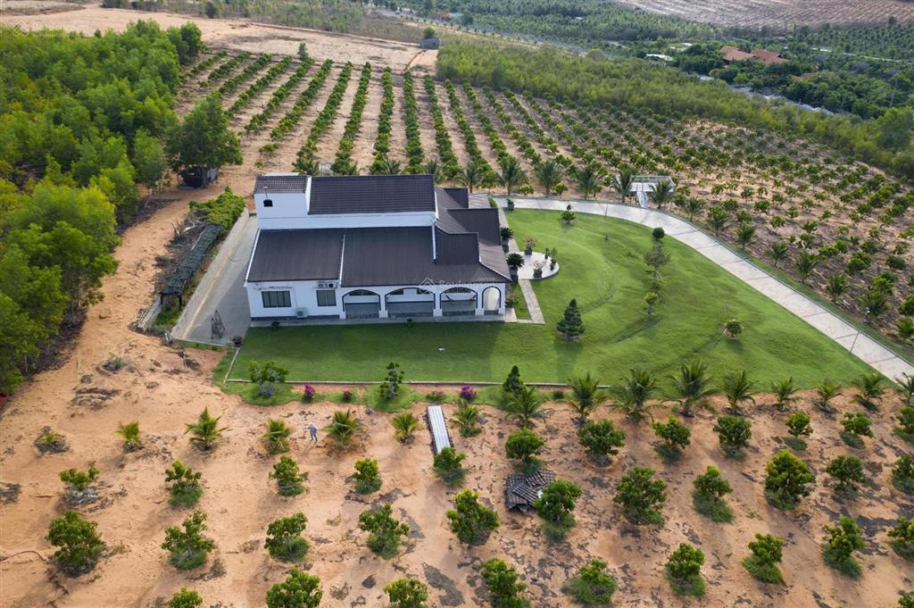 Kẹt tiền bán gấp trong 2 tuần giảm mạnh từ 20,5 tỷ xuống 14,5 tỷ. đất bàu trắng, phan thiết.