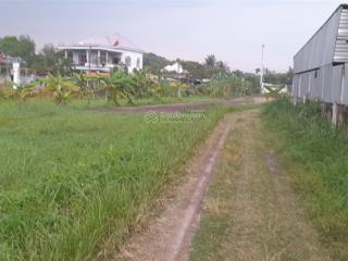 Cho thuê đất 5,000m2 (có 200m2 thổ cư) tại củ chi, tp. hcm