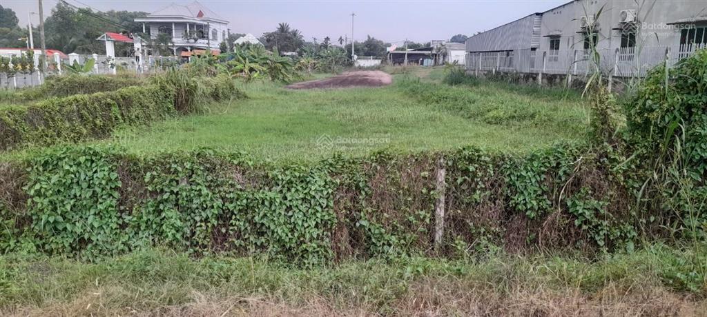 Cho thuê đất 5,000m2 (có 200m2 thổ cư) tại củ chi, tp. hcm