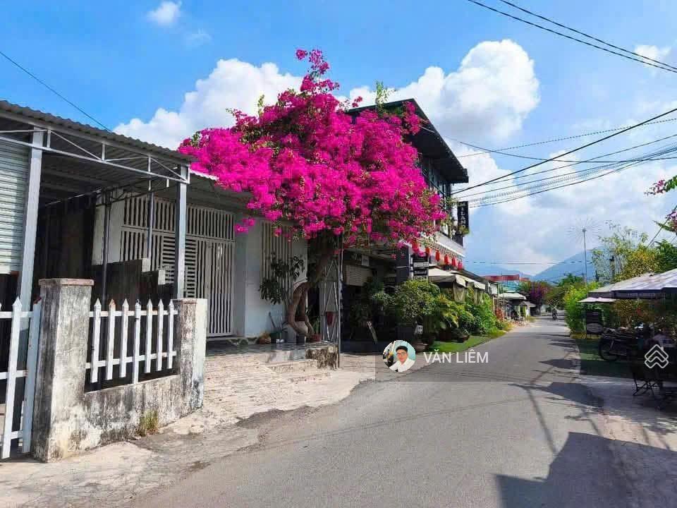 Mặt tiền thông tin diên an kinh doanh mua bán thuận tiện dt 74,9m2 full thổ cư