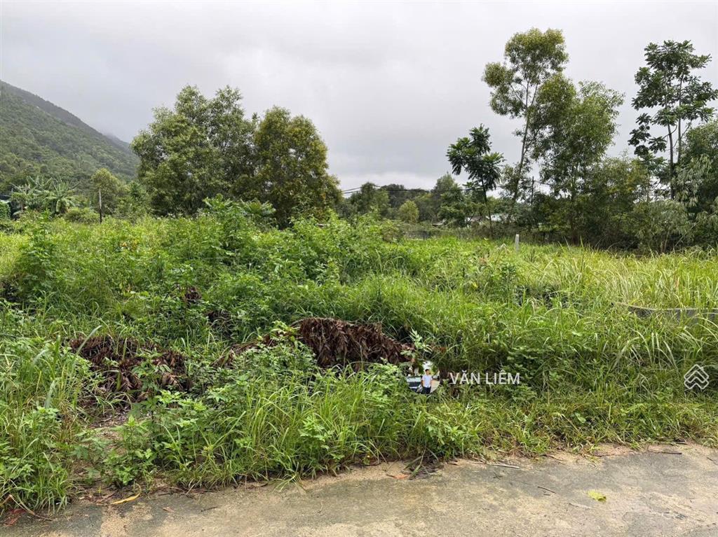 Lô đất phước đồng  diện tích 98m2 ngang 7m.  đường oto thông 6m  chỉ 1.6 tỷ