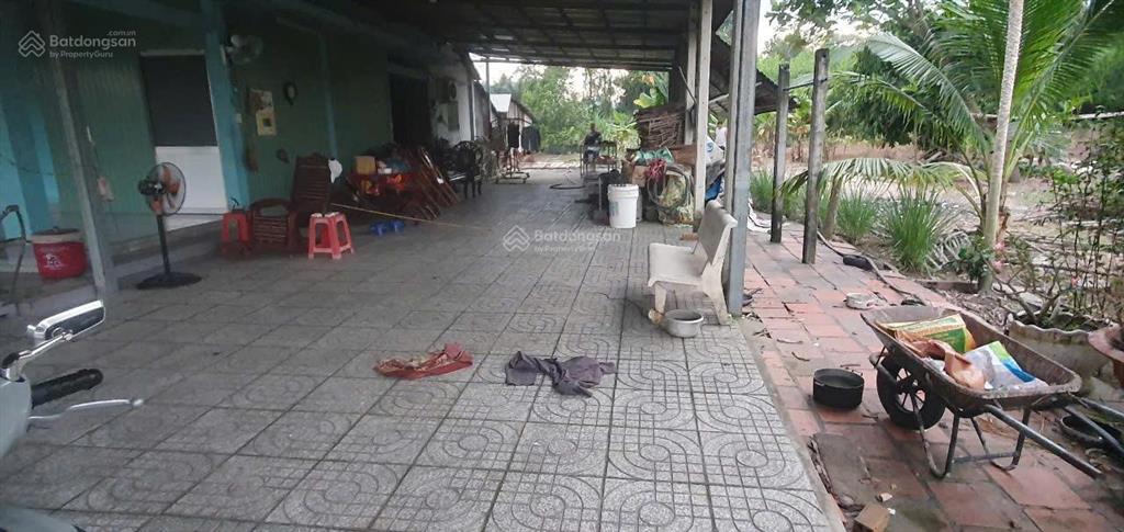 Bán nhà vườn trung lập hạ, củ chi | đất vườn đẹp  giá ngộp bank, cách đường nhựa chỉ 60m