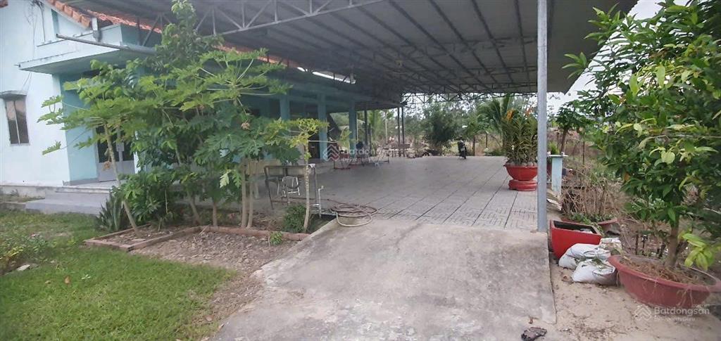 Bán nhà vườn trung lập hạ, củ chi | đất vườn đẹp  giá ngộp bank, cách đường nhựa chỉ 60m