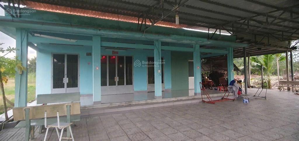 Bán nhà vườn trung lập hạ, củ chi | đất vườn đẹp  giá ngộp bank, cách đường nhựa chỉ 60m