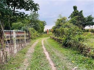 Cuối năm cần tiền nên bán lô đất khu dân cư xã trung lập thượng, huyện củ chi. 36x39m tổng 1428m²