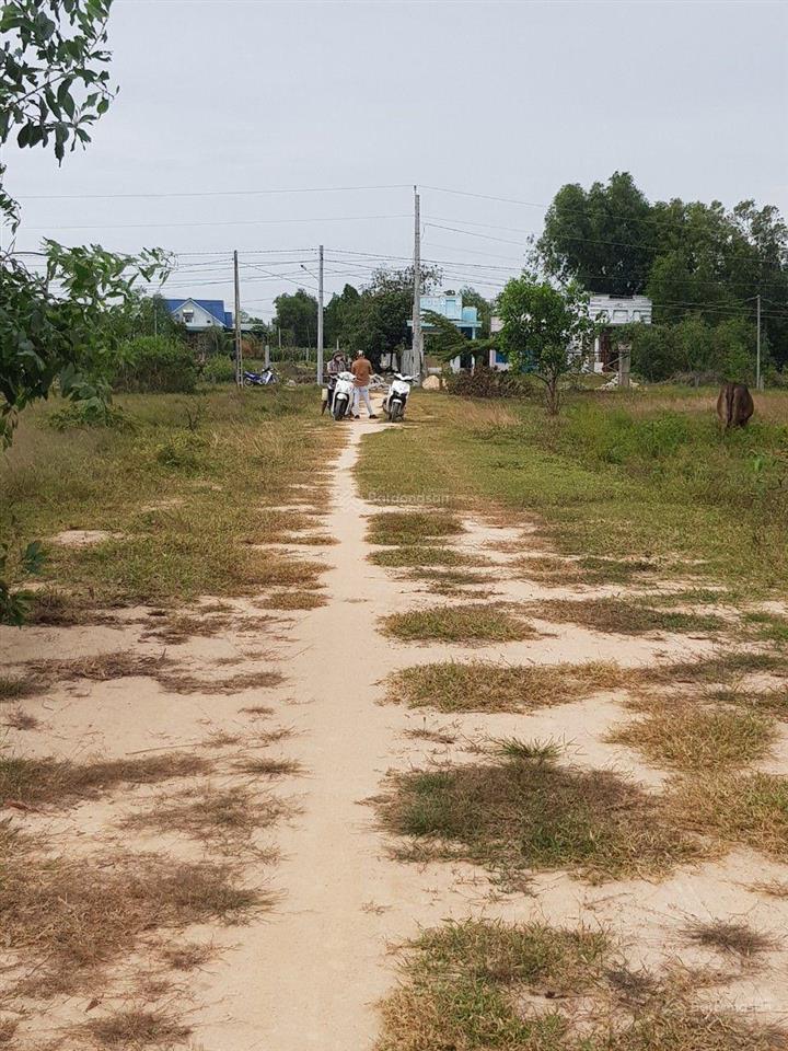 Đất 2 mặt tiền thổ vườn ven biển, vị trí đắc địa tiềm năng đầu tư tương lai, shr, zl 0904 787 ***