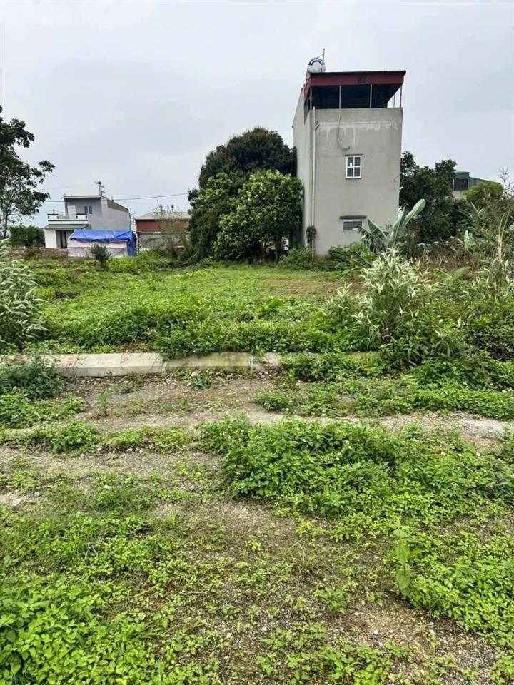 Bán đất kđg thanh hà, thanh liêm, hà nam