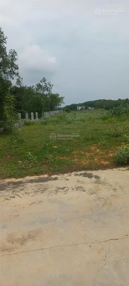Bán đất giáp đường 715, sân bay phan thiết chỉ 3 tỷ