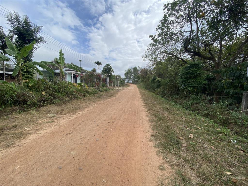 Cần tiền phải bán  đất cư ni, eakar, đắk lắk (1062m2 chỉ 268 triệu) đường to