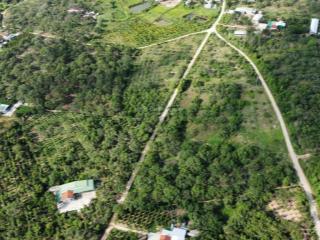 Cắt lỗ  bán đất cư ni, eakar, đắk lắk  508m2 đất ở 70m2 chỉ "279 triệu"