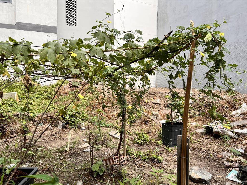 Bán đất vườn quy hoạch ont, 150m2 thổ cư, khu dân cư hiện hữu