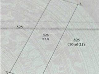 Chính chủ bán 83m2 ngay sát ql21b hoa đường, ứng hòa, sổ riêng, ô tô vào nhà, giá chỉ 1.65 tỷ
