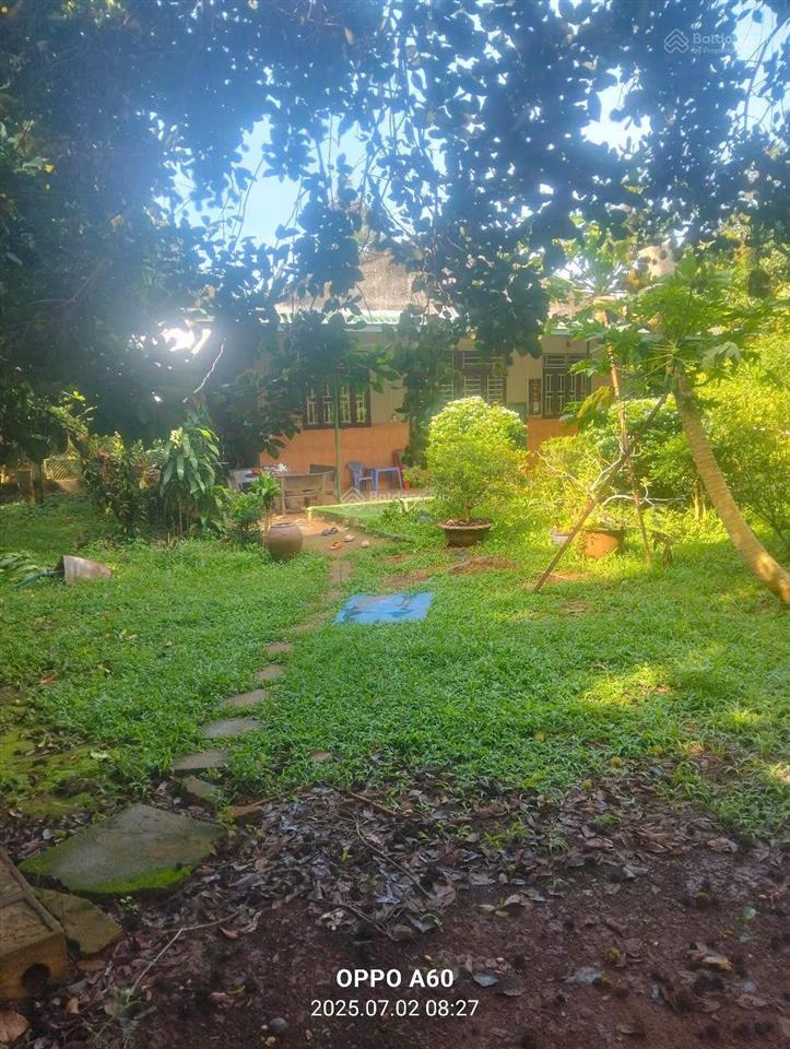 Bán vườn trái cây, trang trại nghỉ dưỡng