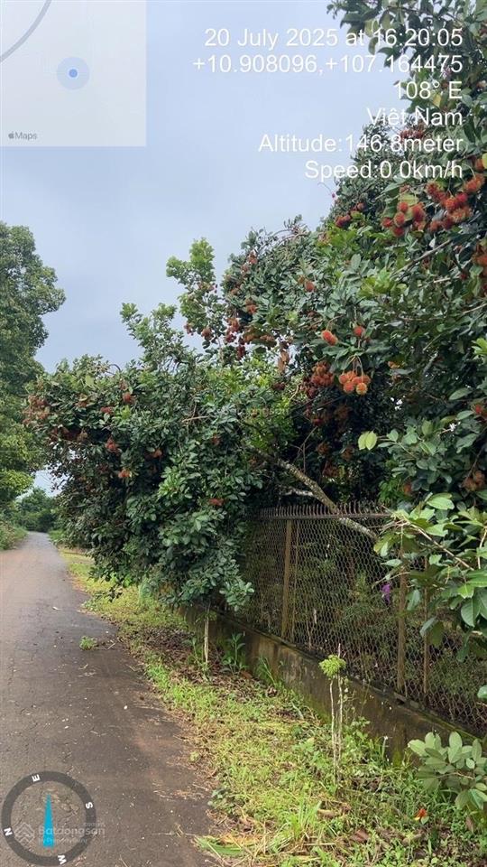 Bán vườn trái cây, trang trại nghỉ dưỡng