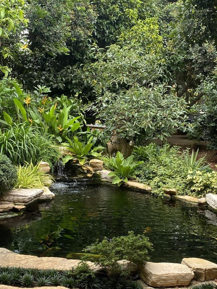 Bán vườn trái cây, trang trại nghỉ dưỡng