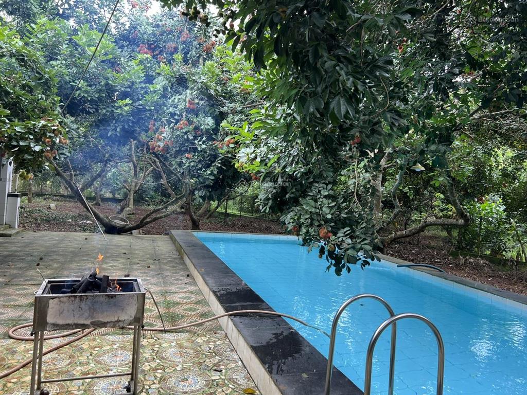 Bán vườn trái cây, trang trại nghỉ dưỡng