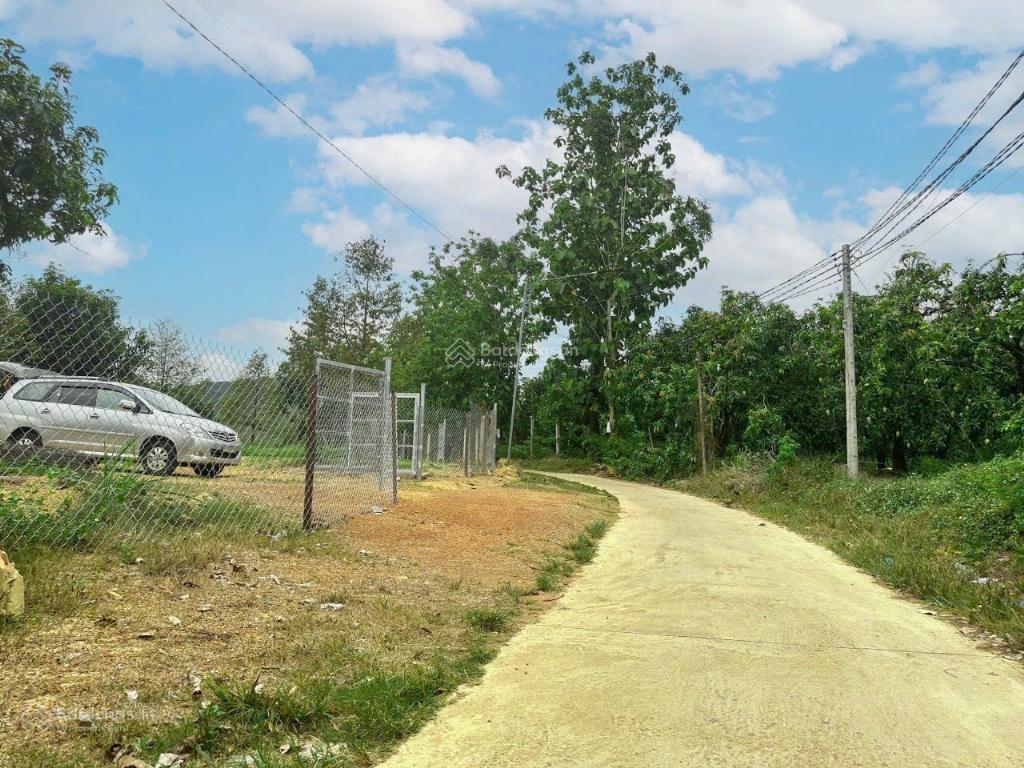 Chính chủ bán đất tại la ngà, đồng nai, gần hồ trị an, kế khu du lịch vịnh bốn mùa, đường ô tô 5m