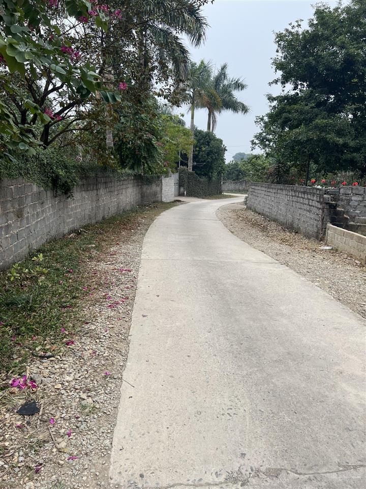 Bán 84m2 có 50m đất ở trung tâm khu công nghiệp nhuận trạch xã lương sơn tỉnh phú thọ