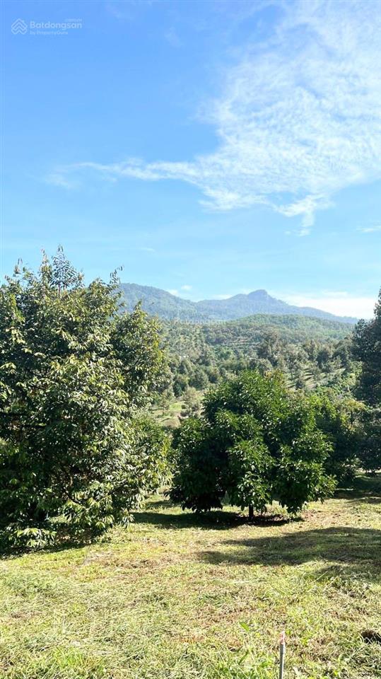 2400m2 (100m2 tc) vườn trái cây cách quốc lộ 1km chỉ 1,7 tỷ