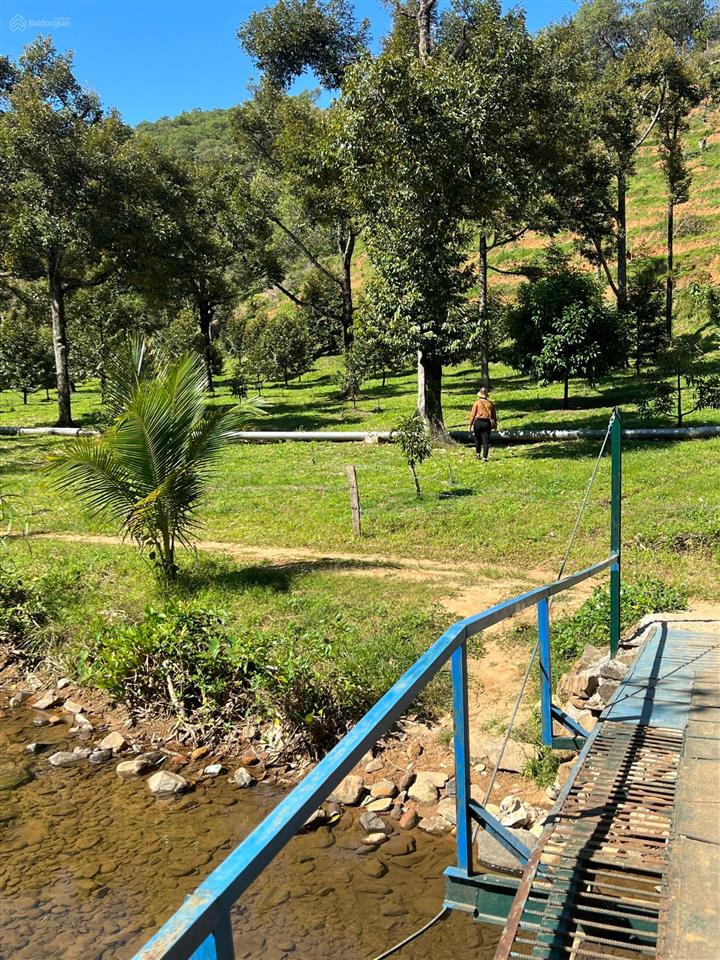 1,25tỷ có 1,3 sào vườn, có hơn 30m suối đá thị trấn đạ mri