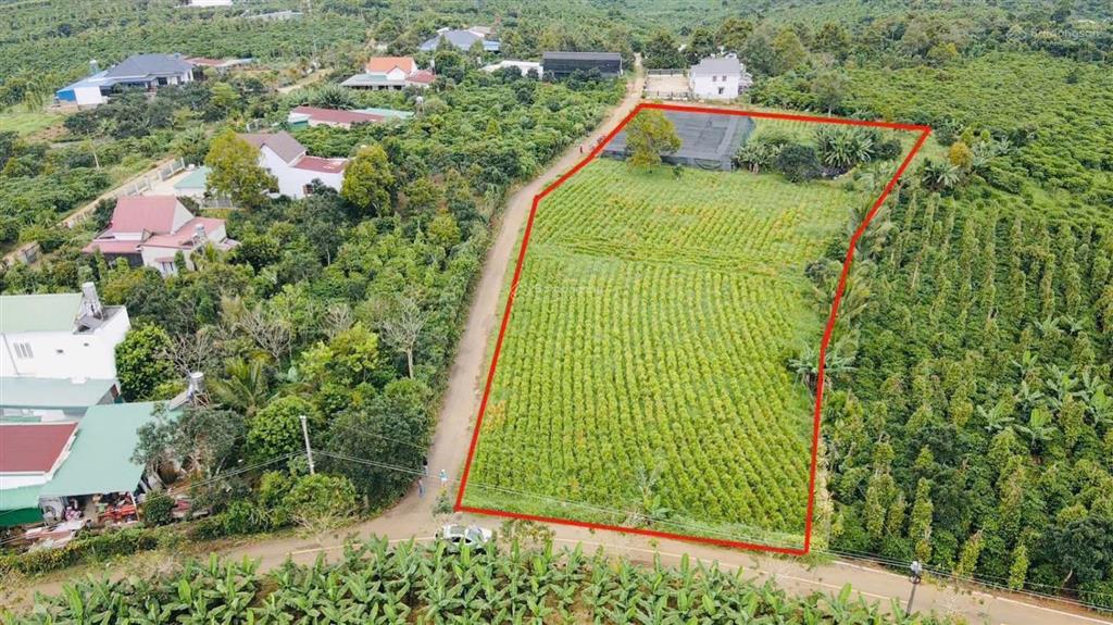 Nguyên lốc 9 lô tại bảo lâm 2. vị trí sát bên khu chợ mới lộc đức bảo lâm 2 mới (750tr)