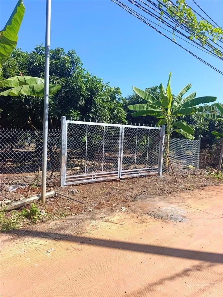 Bán 1971m2 có 223m2 đất thổ cư sổ sẵn tặng vườn nhãn trĩu quả giá chỉ 1 tỷ 690 triệu thương lượng