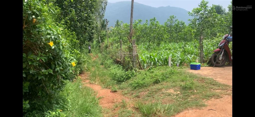 Bán đất xuân trường xuân lộc. cách dt766 1km sát thị trấn gia ray