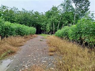 Bán đất sào bên an cơ  châu thành  tây ninh. giá 295 triệu  2018.6m2