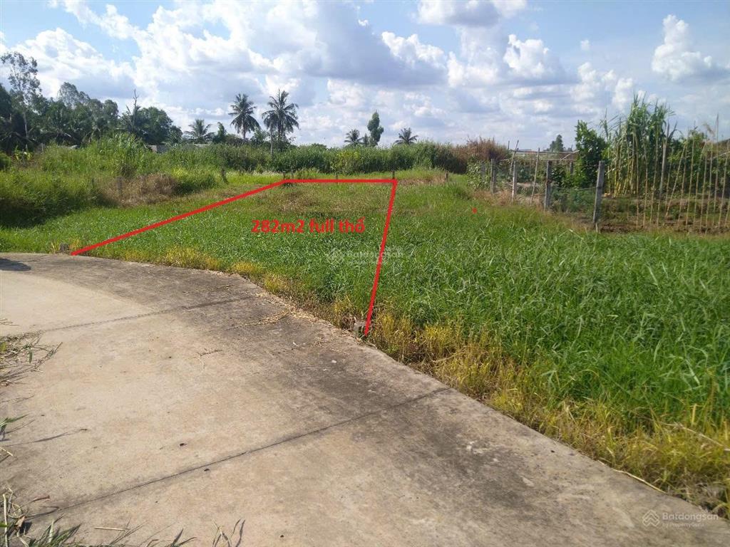 Đất thổ lợi bình nhơn tân an long an 282m2 full thổ xây dựng thoải mái