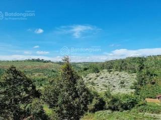 2,3 hecta đất đẹp xã nâm n'jang (nay là xã trường xuân  lâm đồng mới)