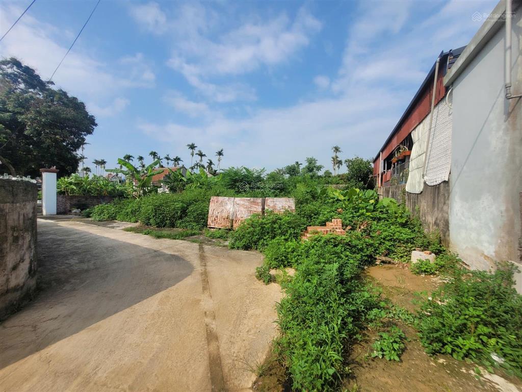 Ngân hàng thanh lý 490m2 đất ở  tại cộng hiền, vĩnh bảo, hải phòng