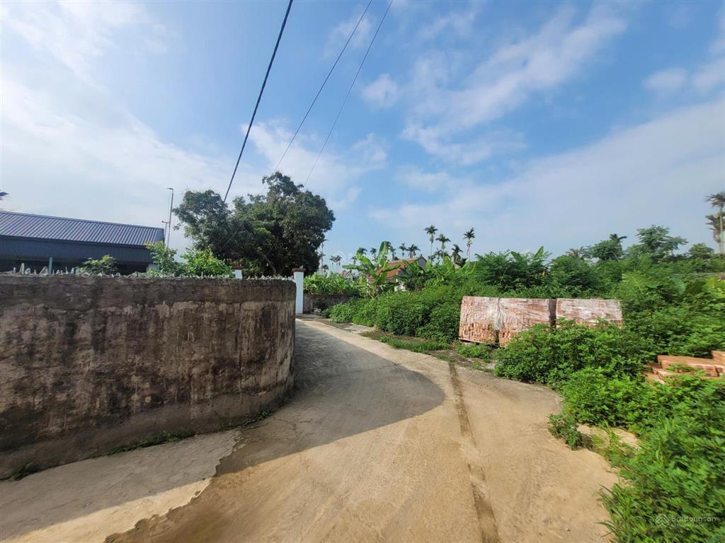 Ngân hàng thanh lý 490m2 đất ở  tại cộng hiền, vĩnh bảo, hải phòng