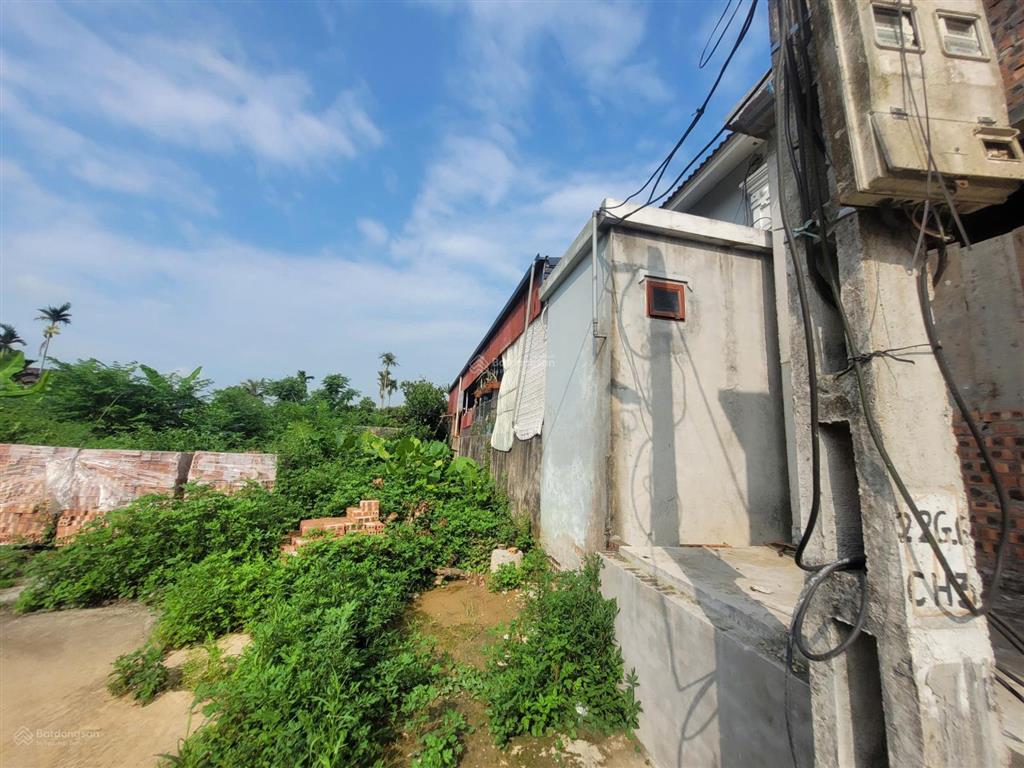 Ngân hàng thanh lý 490m2 đất ở  tại cộng hiền, vĩnh bảo, hải phòng