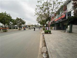Bán biệt thự an phú villa mặt phố phan kế toại, kinh doanh đỉnh chóp