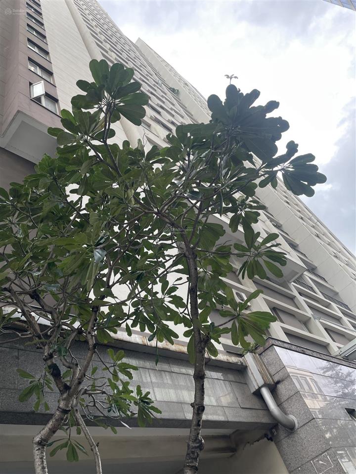 Căn hộ tái định cư riverside 90 nguyễn hữu cảnh chỉ từ 2.9 tỷ nhận nhà ngay