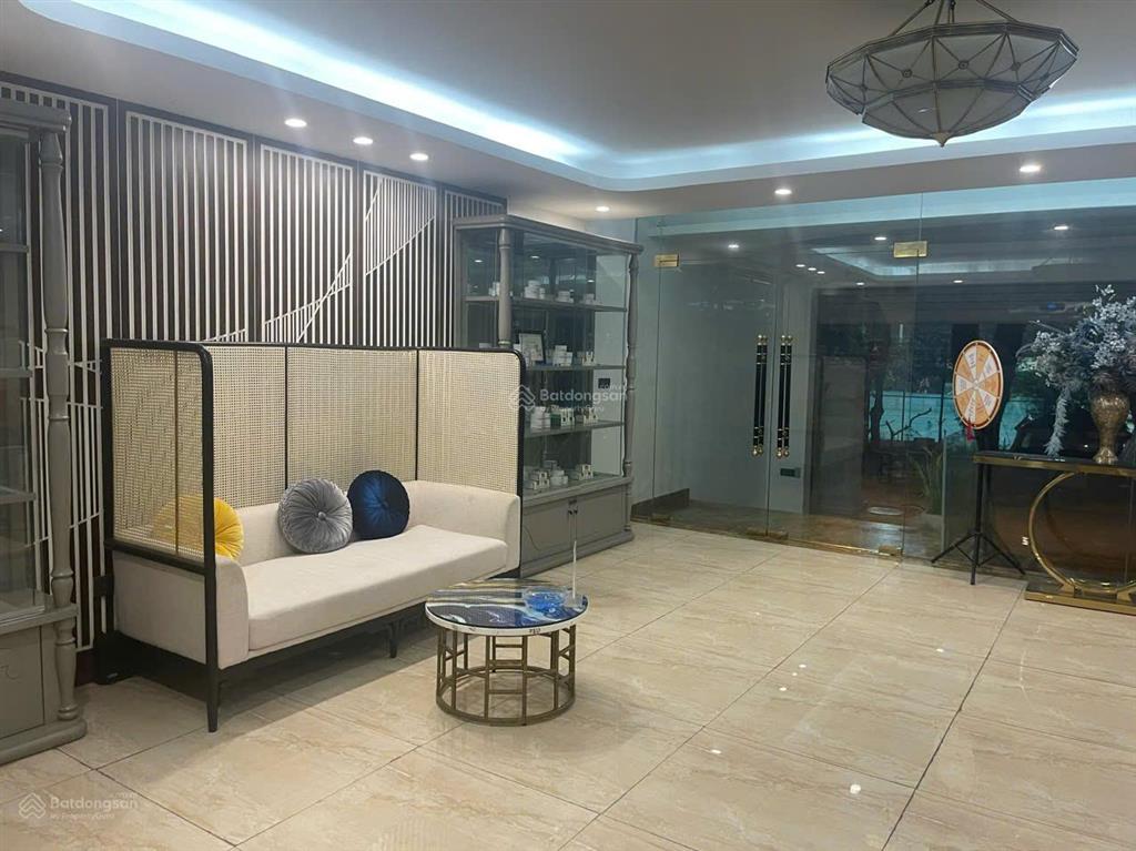 Chính chủ bán biệt thự trung tâm mỹ đình 2, đường bùi xuân phái, quận nam từ liêm, hà nội