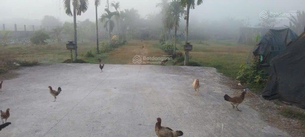 Bán lô đất đường nguyễn thị ly, dt 6,362m2, gần ngã 3 giồng hóc môn, giá 54 tỷ