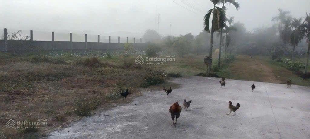 Bán lô đất đường nguyễn thị ly, dt 6,362m2, gần ngã 3 giồng hóc môn, giá 54 tỷ