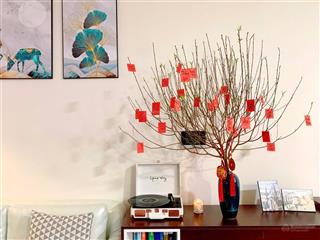 View mát mẻ cả ngày căn gốc 105m2 3pn full chỉ 4,3 tỷ tại akari city bình tân tphcm